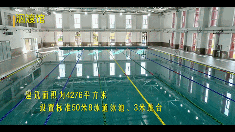 篮球零基础训练30天计划怎么写_1